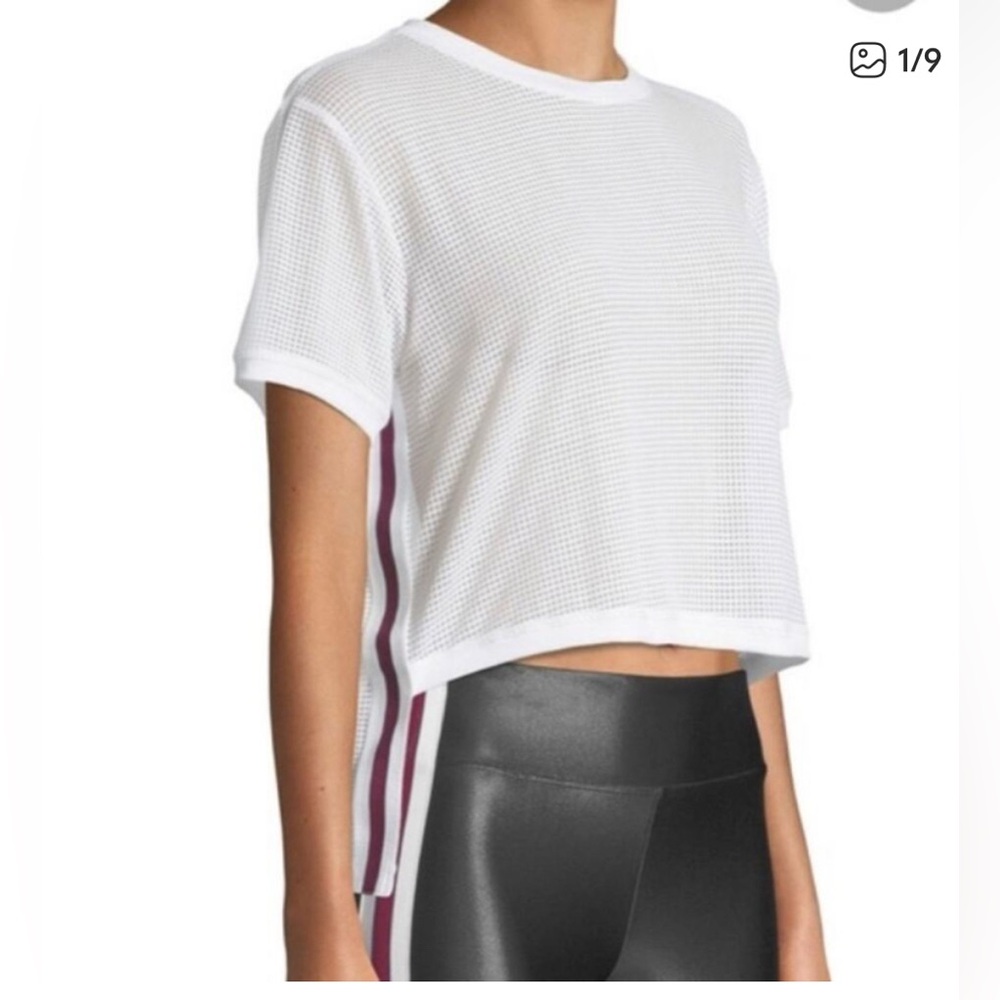 Koral White Mesh Crop Top with Pink Stripes